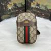 GG546595-057　グッチ GUCCI 2019年最新入荷 オフィディア ポーチ チェーンバッグ 携帯ケース キャンパス