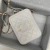 CH0988BS-JS　シャネル CHANEL 2019年最新入荷 ヴァニティー ケース 斜め掛け ショルダーバッグ ラムスキン 化粧かばん