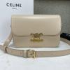 CE187366MB-DDB　CELINE セリーヌ 2020年最新入荷 トリオンフ ラージ 斜め掛け ショルダーバッグ レディースかばん テキスタイル カーフスキン 