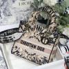 CD8002HF-025　クリスチャンディオール CHRISTIAN DIOR 2021年最新入荷 D-LITE D-ライト トートバッグ ハンドバッグ 2way ショルダーバッグ クロスボディ