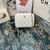 CH2463BS-CC　シャネル CHANEL 2021年最新入荷 カメラバッグ 斜め掛け ショルダーバッグ クロスボディバッグ スクエアバッグ 