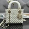 CD0505ZWBS-GH　クリスチャンディオール CHRISTIAN DIOR 2024年最新入荷 レディ ディオール ミニ トートバッグ 2way ショルダーバッグ レディース