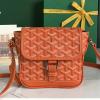 GY020128CS-GH　ゴヤール GOYARD 2024年新色入荷 Grand Bleu PM グランド ビュー ミニバッグ ショルダーバッグ レディース