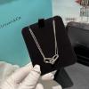 XLTF25006-CZZ　ティファニーTIFFANY CO 2025年最新入荷 ロングチェーン ネックレス ジュエリー 