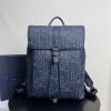 CD1231YSL-GH　クリスチャンディオール CHRISTIAN DIOR 2025年新作  Daily バックパック 大容量 リュックサック 旅行かばん オブリークジャカード