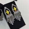 EHCH26019-99 シャネル CHANEL 2026年 ピアス アクセサリー ジュエリー